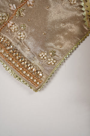 Noor-e-Fishan Wedding Collection TZT-22
