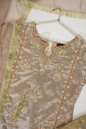 Noor-e-Fishan Wedding Collection TZT-22