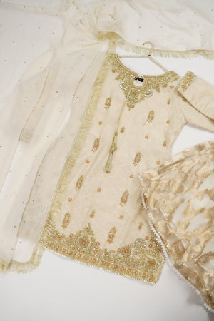Noor-e-Fishan Wedding Collection TZT-20