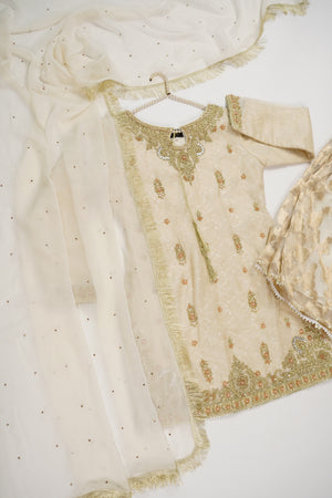 Noor-e-Fishan Wedding Collection TZT-20