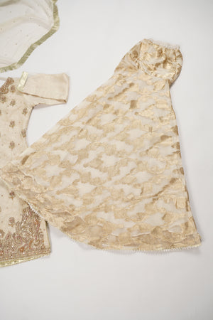 Noor-e-Fishan Wedding Collection TZT-24