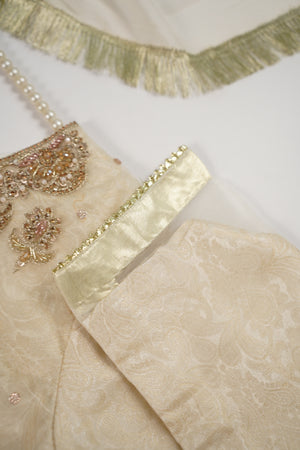 Noor-e-Fishan Wedding Collection TZT-24