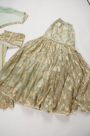 Noor-e-Fishan Wedding Collection TZT-21