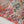 Original Tawakal Lawn Collection 3pc RTZ-23