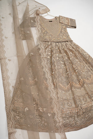 Gul-e-Rung Lehnga Choli Up-08