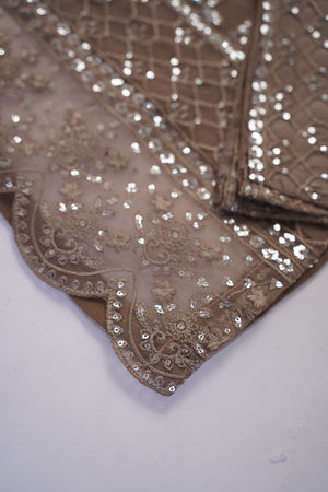 Shagun Organza budget wear Eid Collection Vol 2 SK-0014