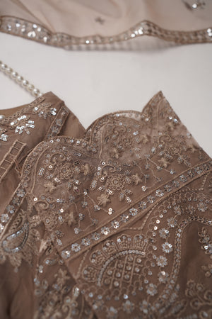 Shagun Organza budget wear Eid Collection Vol 2 SK-0014