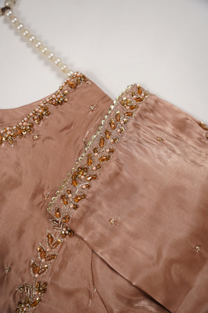 Noor-e-Fishan Wedding Collection TZT-019