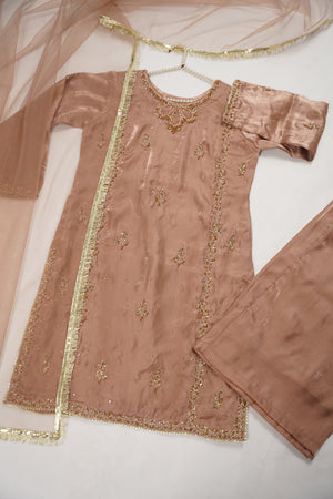 Noor-e-Fishan Wedding Collection TZT-019