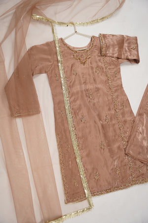 Noor-e-Fishan Wedding Collection TZT-019