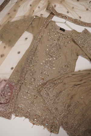 Dastaan Exclusive Branded Organza Collection VB-03