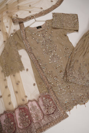 Dastaan Exclusive Branded Organza Collection VB-03