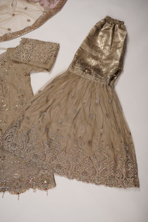 Dastaan Exclusive Branded Organza Collection VB-03