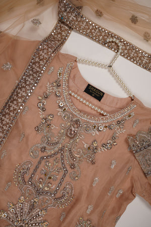 Dastaan Exclusive Branded Organza Collection VB-02