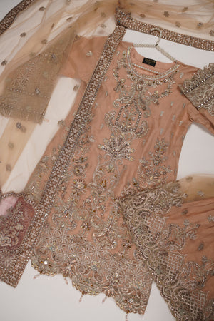 Dastaan Exclusive Branded Organza Collection VB-02