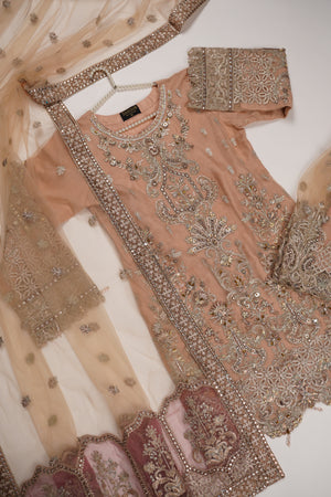 Dastaan Exclusive Branded Organza Collection VB-02