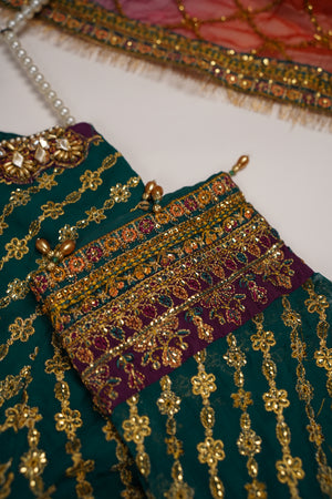 Dastaan Exclusive Branded Organza Collection VB-01