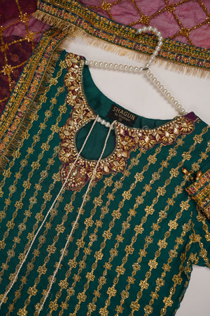 Dastaan Exclusive Branded Organza Collection VB-01