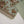 Original Bin Saeed Printed Khaddar Shirt With Printed Shawl and Plan Bottom ZT-10