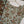 Original Bin Saeed Printed Khaddar Shirt With Printed Shawl and Plan Bottom ZT-10