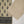 Original Bin Saeed printed Khaddar shirt with printed shawl and plan bottom ZT-16