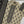 Original Bin Saeed printed Khaddar shirt with printed shawl and plan bottom ZT-16