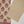 Original Tawakal printed Khaddar shirt with printed shawl and plan bottom ZT-31