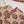 Original Tawakal printed Khaddar shirt with printed shawl and plan bottom ZT-31