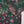 Load image into Gallery viewer, Shagun Original Designer 3 pcs Eid Collection 2025 Z-02
