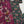 Load image into Gallery viewer, Shagun Original Designer 3 pcs Eid Collection 2025 Z-02
