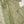 Load image into Gallery viewer, Noor-e-Fishan Exclusive Wedding wear Collection jk-01
