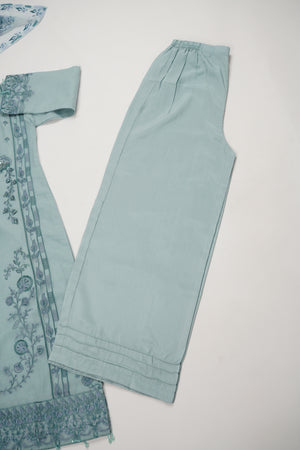 Rang-e-Noor Party wear Collection BTK 12
