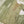 Load image into Gallery viewer, Noor-e-Fishan Exclusive Wedding wear Collection jk-07

