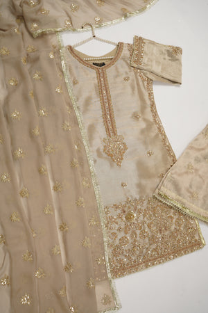 Noor-e-Fishan Premium Masori shirt with pure chiffon scarf and premium Masori Plazzo STQ-02