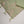 Load image into Gallery viewer, shagun exclusive farshi shalwar lawn collection 2025 MH-005

