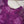 Load image into Gallery viewer, Shagun Exclusive Linen  Eid Collection 2025 sb-002
