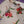 Load image into Gallery viewer, Shagun Exclusive Linen maxi  Eid Collection 2025 sb-003
