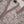 Load image into Gallery viewer, Bisma Winter Maxi Collection FA-02
