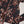 Load image into Gallery viewer, Bisma Winter Maxi Collection FA-06

