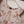 Load image into Gallery viewer, Bisma Winter Maxi Collection FA-07
