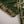 Load image into Gallery viewer, Noor-e-Fishan Exclusive Wedding wear Collection jk-13

