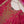 Load image into Gallery viewer, Noor-e-Fishan Exclusive Wedding wear Collection jk-12
