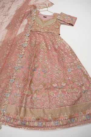 Gul-e-Rung Lehnga Choli Up-11