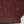 Original Tawakal  Lawn Collection 3pc RTZ-11