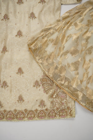 Noor-e-Fishan Wedding Collection  TS-09