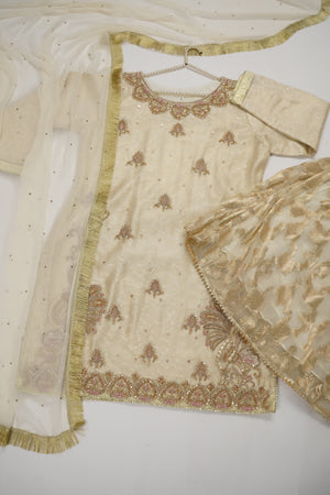Noor-e-Fishan Wedding Collection  TS-09