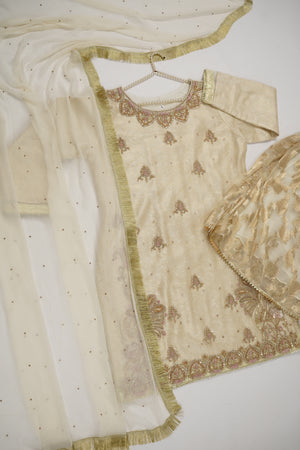 Noor-e-Fishan Wedding Collection  TS-09