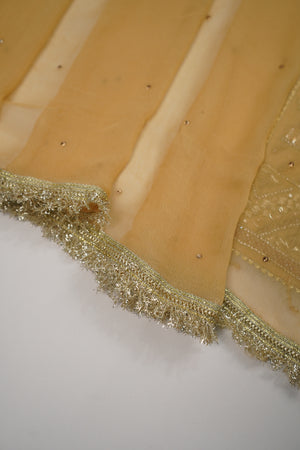 Noor-e-Fishan Wedding Collection  TS-05