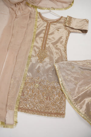 Noor-e-Fishan  Collection TZT-01
