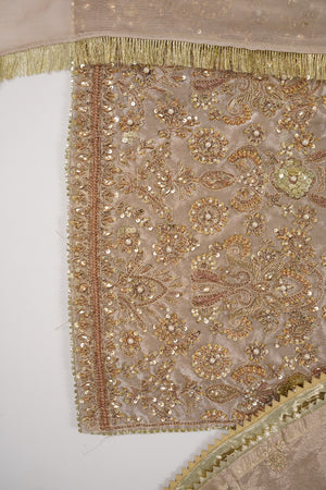 Noor-e-Fishan  Collection TZT-01